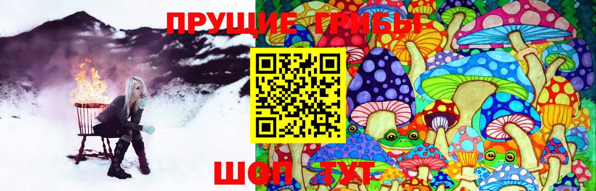 Псилоцибиновые грибы GOLDEN TEACHER Калуга