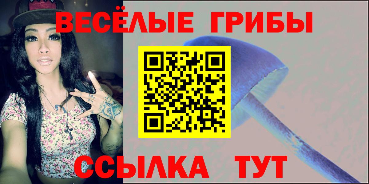 Галлюциногенные грибы Psilocybine cubensis  Вход с VPN  Калуга 